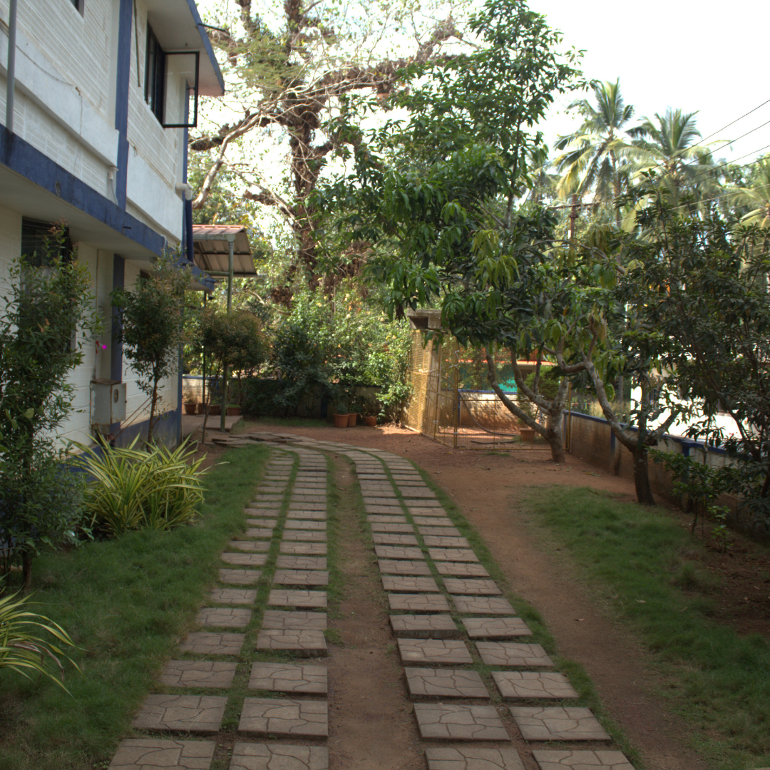 Creative Trisha PU College