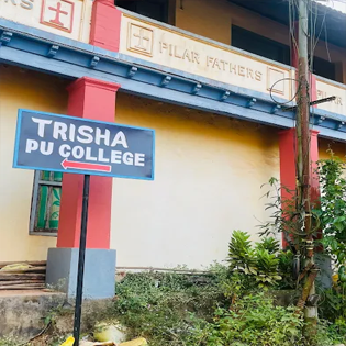 Creative Trisha PU College