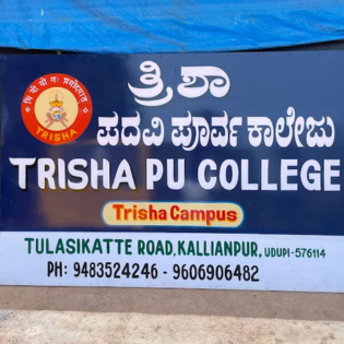 Creative Trisha PU College