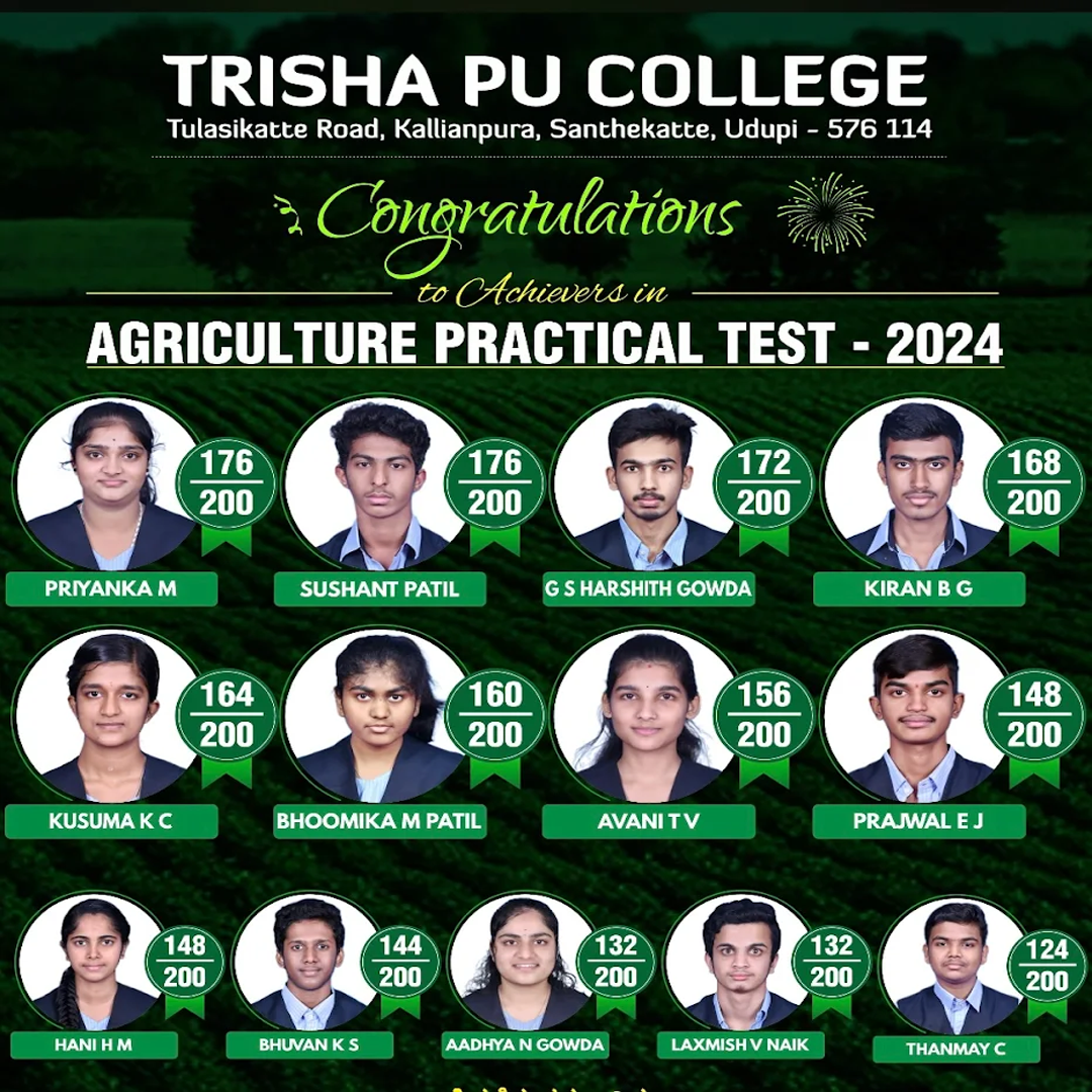 Creative Trisha PU College